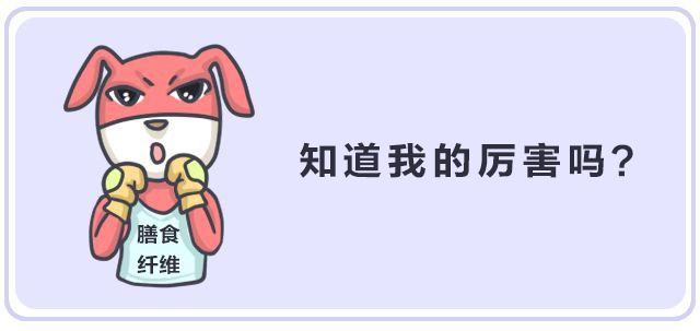 纖維時代，未來已來